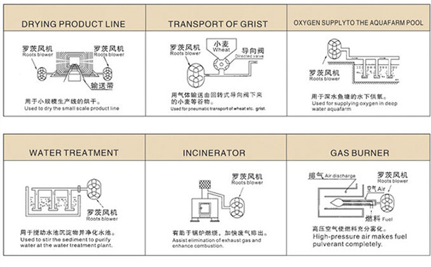 羅茨鼓風機在中央供料系統中重要嗎？